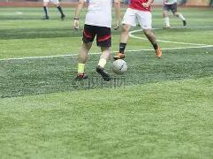 开云体育官,网入口网页,资讯,开云体育,开云体育官网,开云体育app,开云体育平台,KAIYUN,SPORTS,kaiyun登录入口