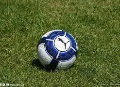 中央纪委国,家监委网站,查处,开云体育,开云体育官网,开云体育app,开云体育平台,KAIYUN,SPORTS,kaiyun登录入口