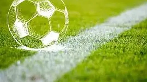 开云体育官网入口网页 资讯 134244 j1c