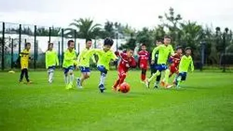 开云体育官网入口网页 资讯 135745 dw7