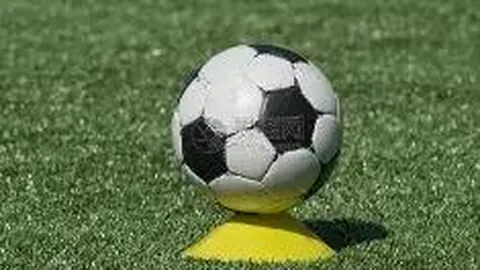 开云体育官网入口网页 产品 134226 9m7