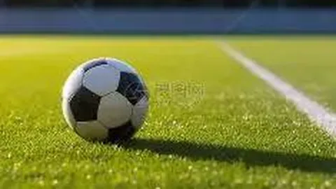 开云体育官网入口网页 资讯 134457 t8n