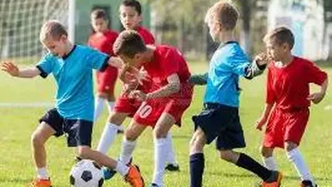 开云体育官网入口网页 资讯 134549 mgo